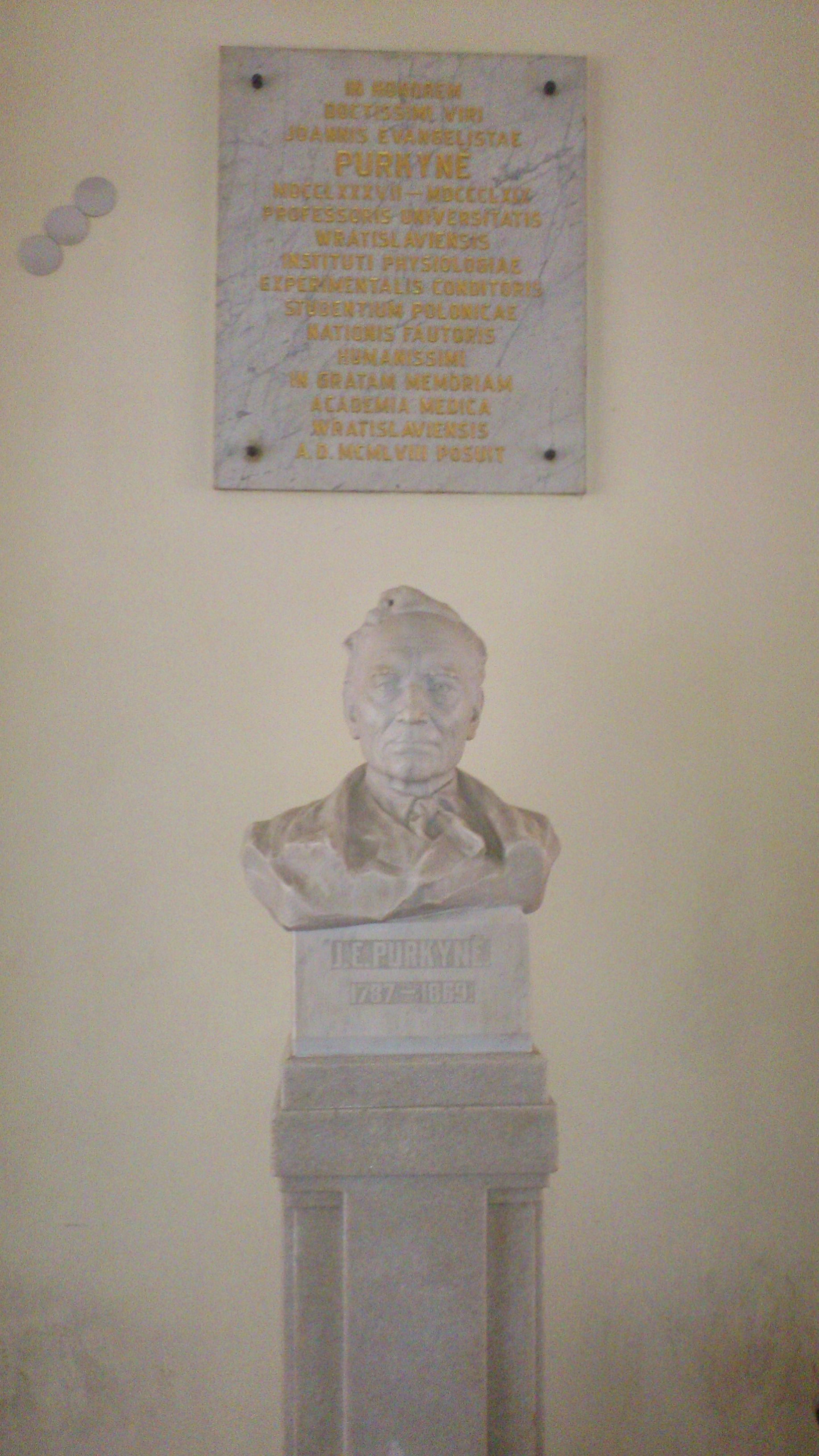 Jan Evangelista Purkyne's bust and memorial plaque, University of Wraclaw (by Magdalena  Mazurak) - 01.JPG